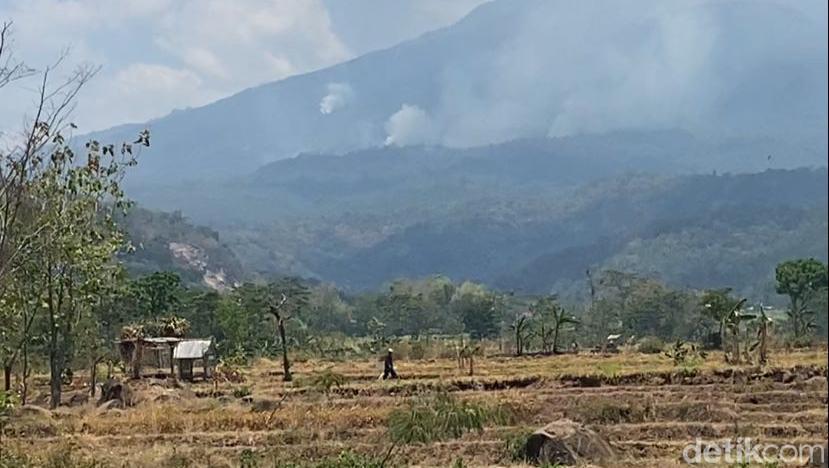 Sempat Diguyur Hujan, Kebakaran Hutan Gunung Lawu Tak Kunjung Padam