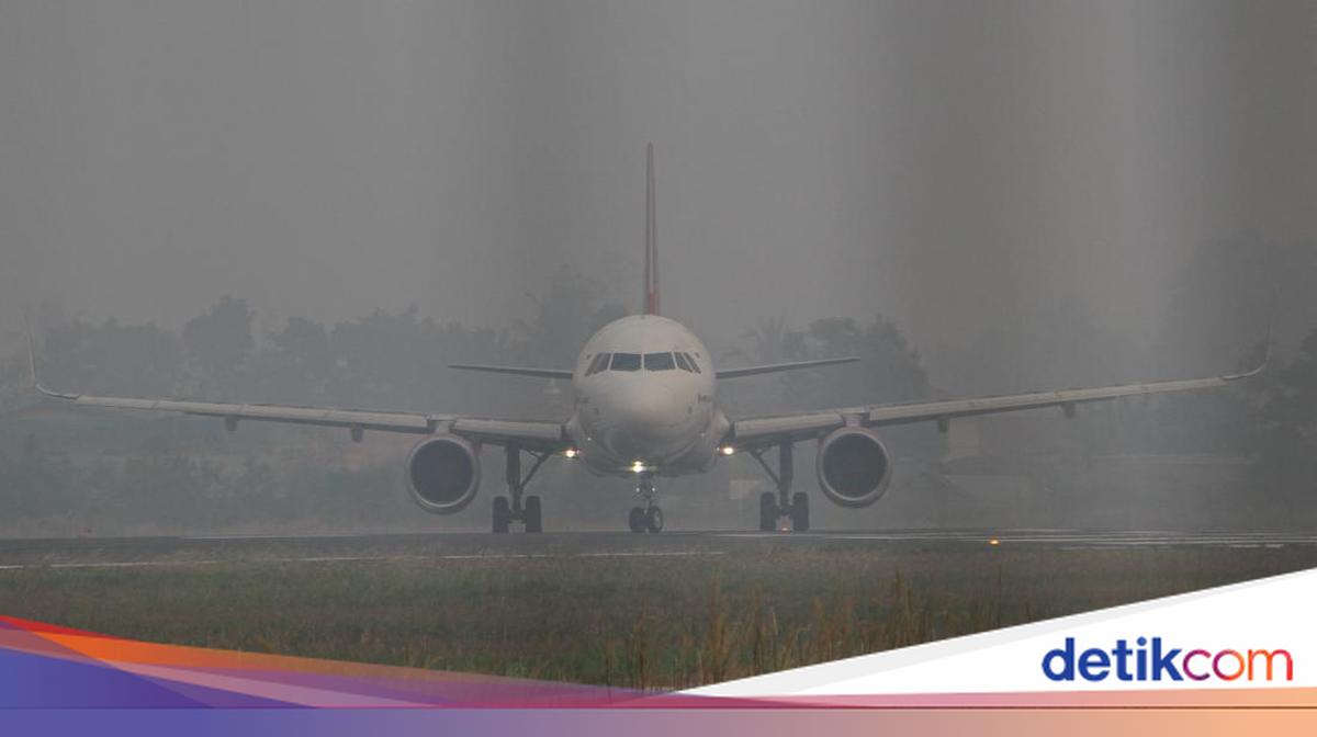 Kabut Asap Imbas Kebakaran Hutan Mulai Lumpuhkan Penerbangan di Kalimantan