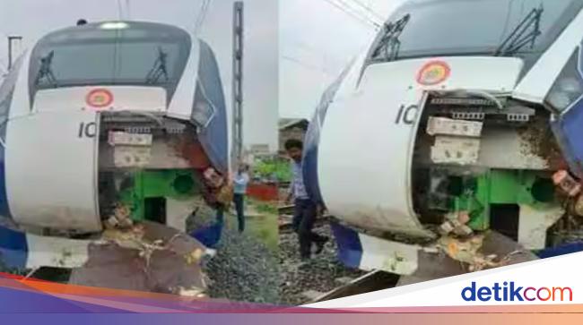 Vande Bharat Express Incident: One person dead after train hits cow