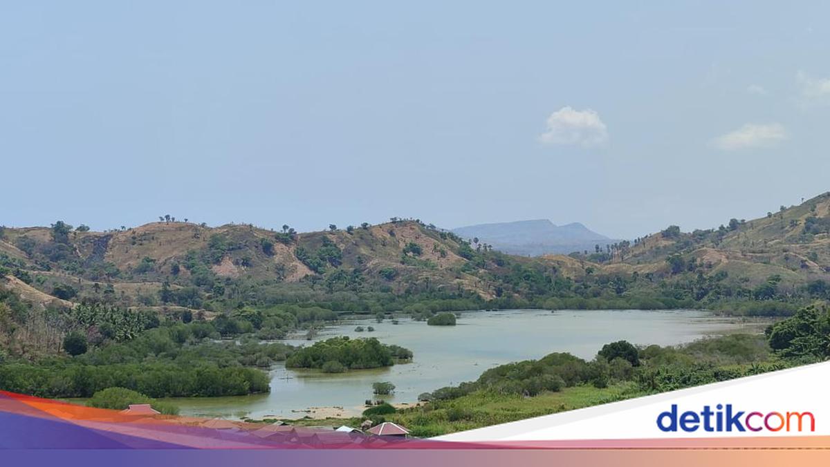Menikmati Indahnya Danau Kota Kaya, Dulunya Tempat Migrasi Bebek Australia