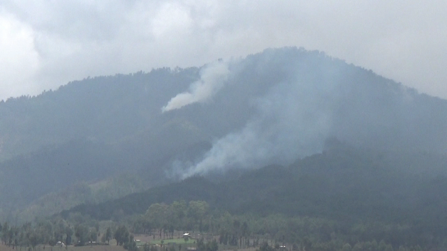 Hutan Gunung Semeru Terbakar