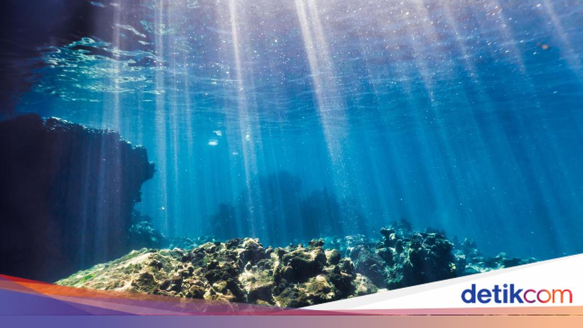 Hari Laut Sedunia 2026: Latar Belakang hingga Tema Tahun Ini