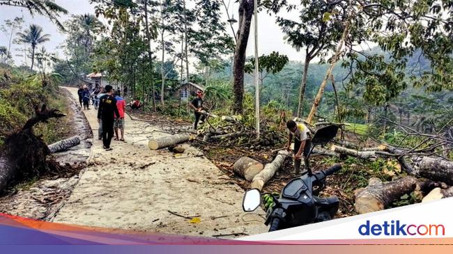 Hujan Disertai Angin Kencang Pohon Tumbang Timpa Rumah Di Sukabumi