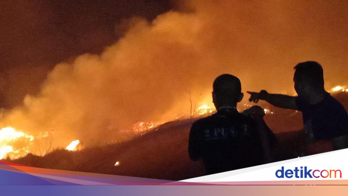 Dibayar Rp 500 Ribu untuk Bakar Lahan, Dua Warga Kotim Ditangkap