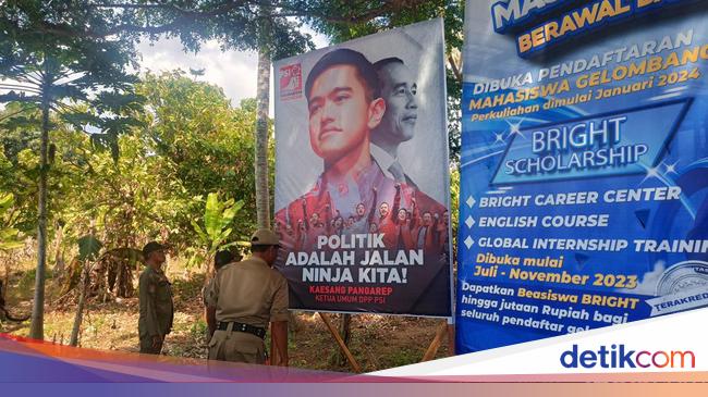 Satpol Pp Karangasem Copot Puluhan Baliho Termasuk Foto Kaesang 