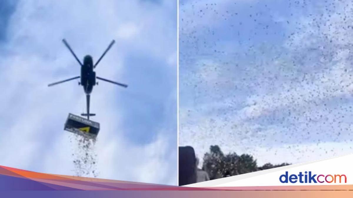 Viral Hujan Uang di Ceko, Faktanya Mengagetkan