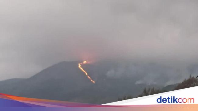 Api Masih Membara, Kebakaran Hutan Merbabu Merembet ke Boyolali