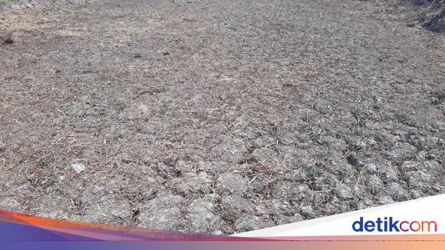 Water Hotspot Indonesia Tidak Separah Negara Lain, Tapi..