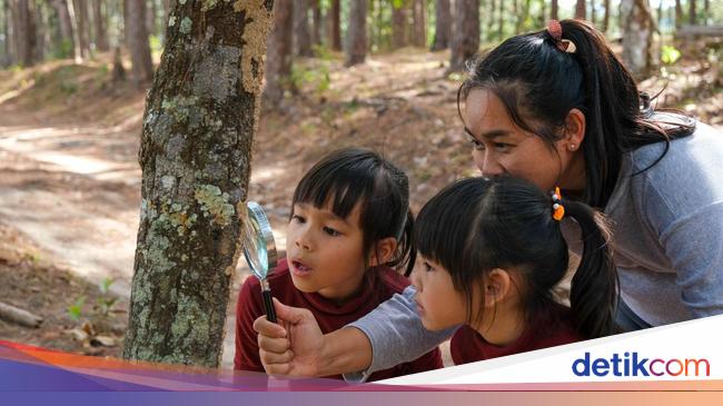 Mengenal Teori Piaget Konsep Perkembangan Kognitif