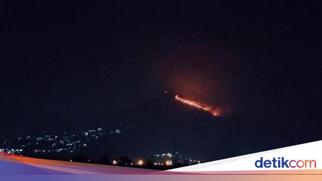 Gunung Penanggungan Membara, Kobaran Api Terlihat hingga Sidoarjo