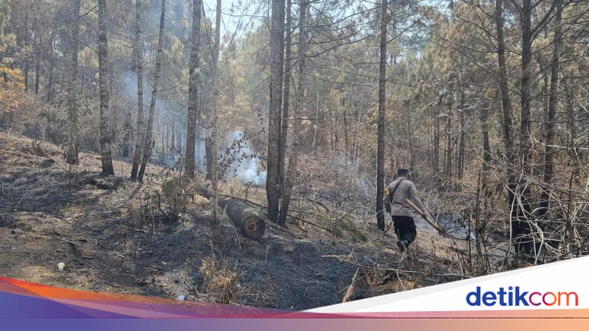 Walau Dinyatakan Padam, Tim Gabungan Masih Temukan Bara Api di Gunung ...