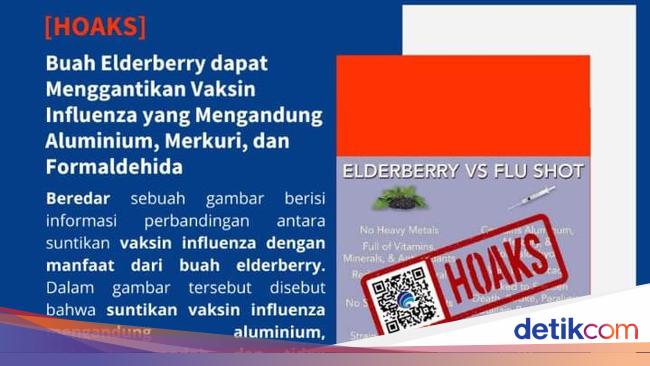 Hoax: Elderberry fruit can replace aluminum-containing flu vaccine
