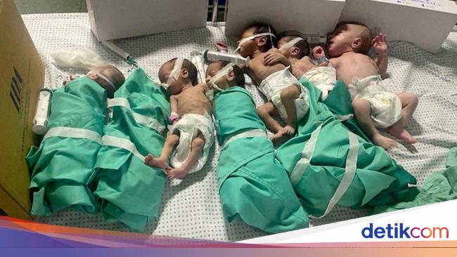 31 Bayi Prematur Berhasil Dievakuasi dari RS Al Shifa ke Gaza Selatan