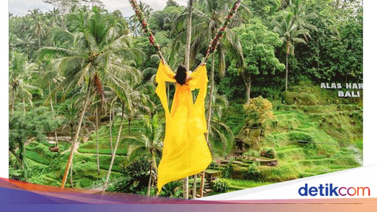 Harga Tiket Alas Harum Bali, Serunya Naik Ayunan Esktrem di Tengah Alam ...