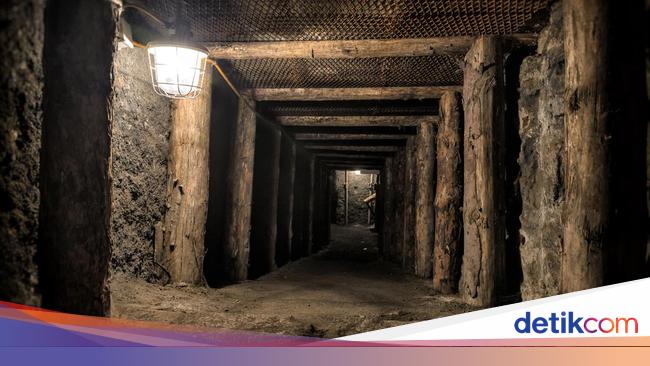 4,7 Juta Ha Lahan Tambang Masih Bermasalah, Ini Penyebabnya