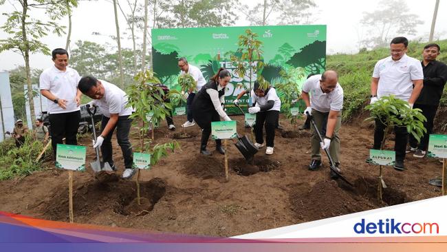 Komitmen Pro Lingkungan, Telkom Tanam 1.000 Pohon di Lereng Merapi