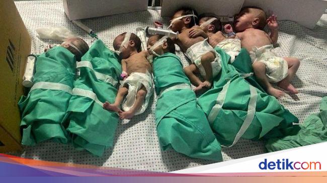 Bagaimana 36 Bayi Prematur Bertahan Hidup di RS Al-Shifa Gaza?