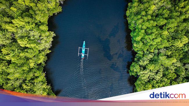 Desa Wisata Palaes Andalkan Hutan Mangrove untuk Pikat WIsatawan