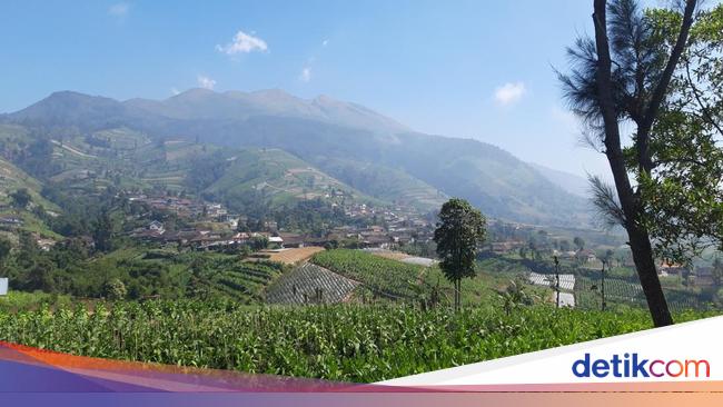 Kata BTNGMb dan Pihak Open Trip soal Viral Area Kamping Merbabu Dikapling