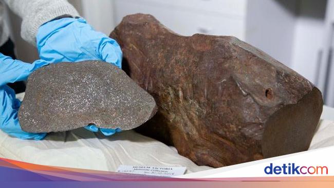 The Rare Meteorite Found in Australia: More Valuable Than Gold