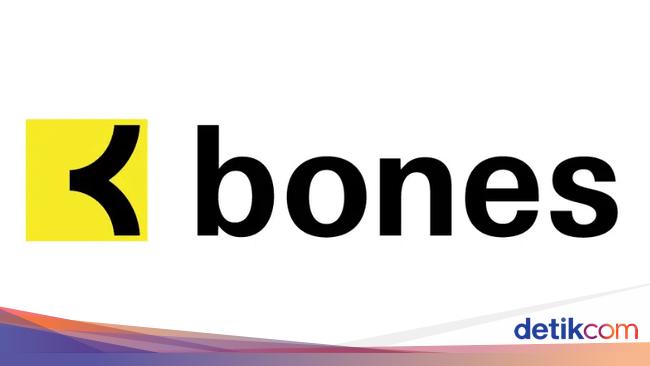 Bones studio