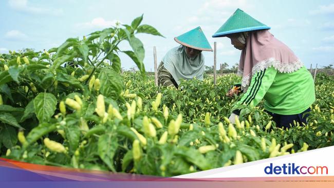 Teruskan Semangat Kartini, Ini Upaya Sektor Swasta Berdayakan Perempuan