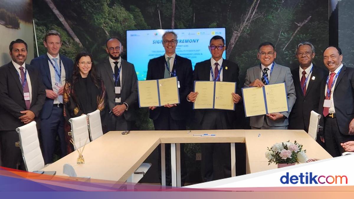 PLN & Pupuk Indonesia Bersinergi Gandeng ACWA Garap Industri Hidrogen Hijau