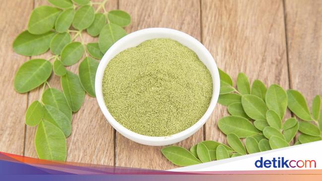 14 Advantages of Moringa leaves for Well being, the advantages are usually not canned!