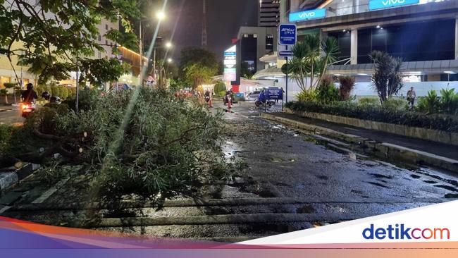 Hujan Deras Disertai Angin Kencang Landa Surabaya Tumbangkan Sejumlah Pohon