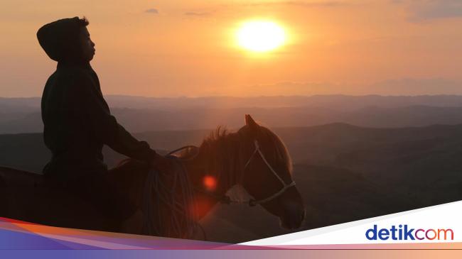 Terpesona Alam Sumba Timur, Menikmati Barisan Bukit Ditemani Kuda Sumba