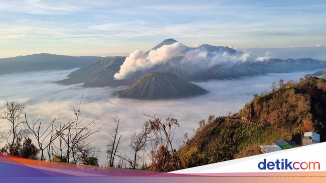 Pengusaha Homestay Bromo Menjerit, Libur Nataru Wisatawan Malah Sepi