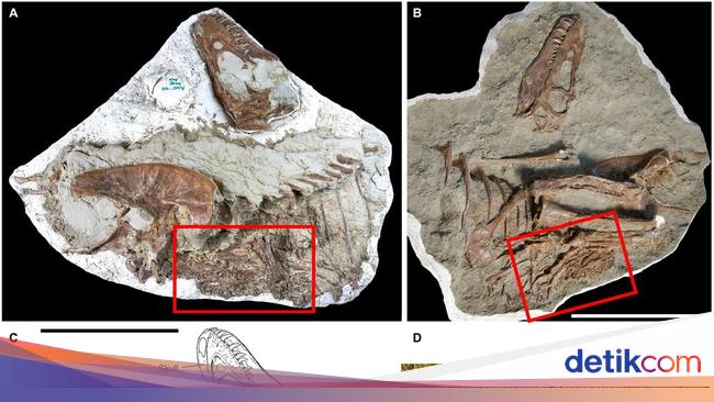 New Study Reveals Juvenile Carnivorous Dinosaurs Preyed on Small Plant-Eating Dinosaurs