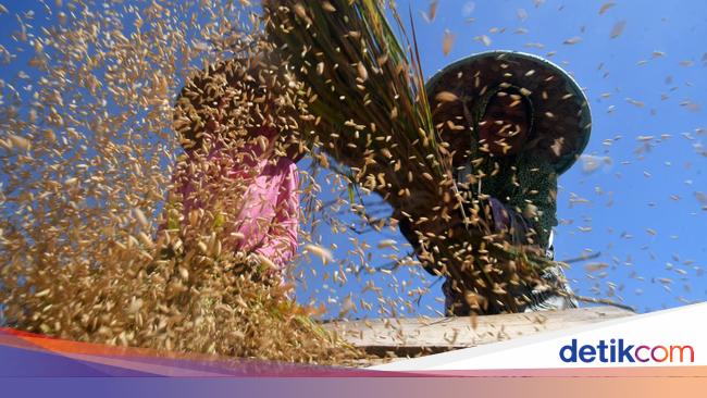 Singgung Ancaman Krisis Pangan, Anggota DPR Beri Masukan Ini