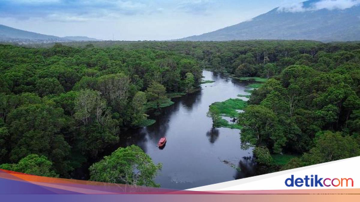 Ini Rawa Bento, yang Tertinggi di Sumatera