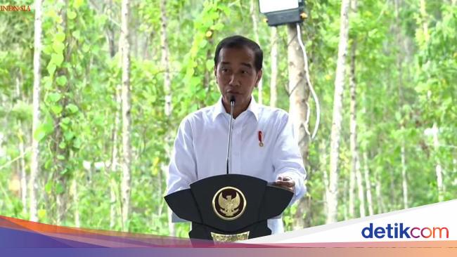 President Jokowi Lays First Stone for BSH Hub Community Project in IKN, Jakarta