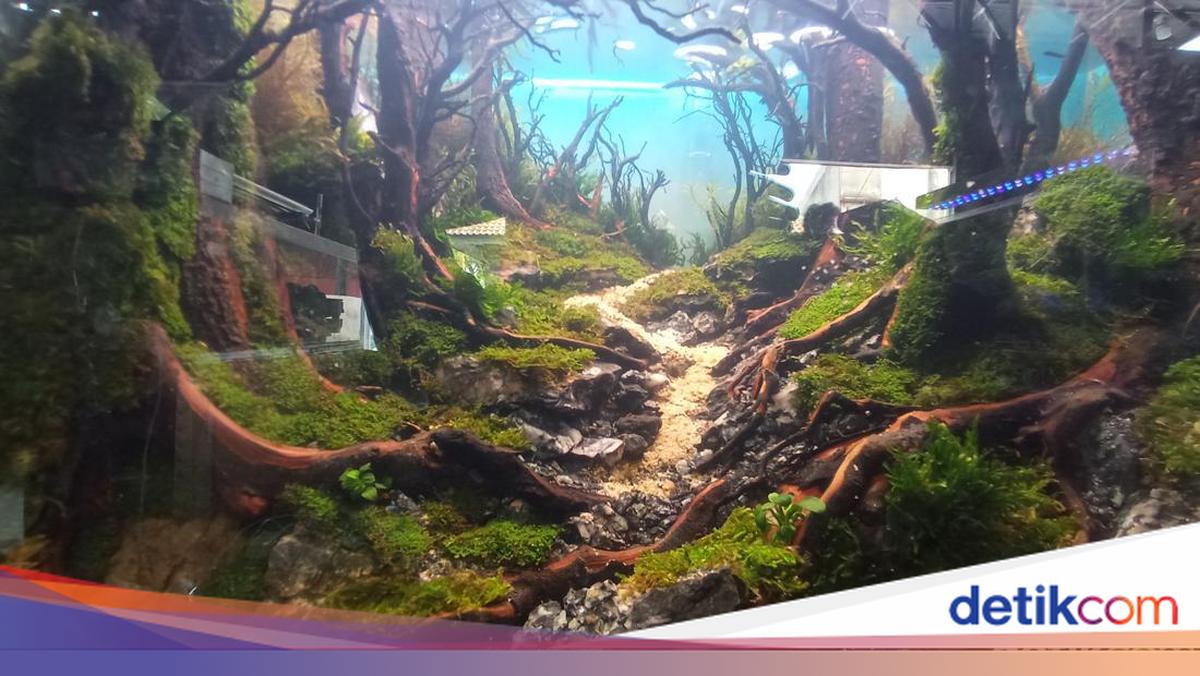 Ini Perbedaan Aquascape, Paludarium dan Terrarium