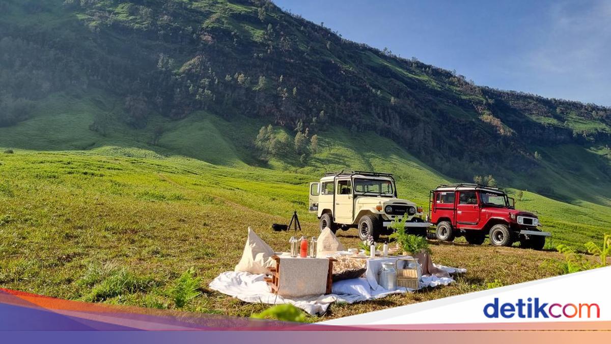 Pengalaman Piknik Estetik di Hamparan Karpet Hijau Bromo Pengalaman Piknik Estetik di Hamparan Karpet Hijau Bromo