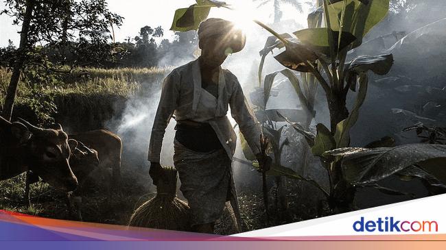 2023 Jadi Tahun Terpanas Dalam Sejarah