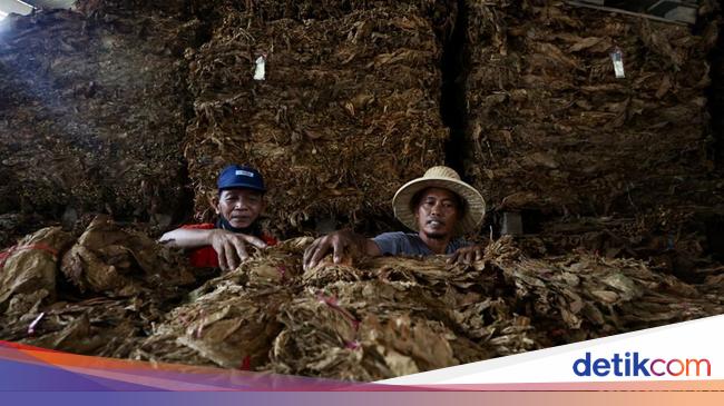 Aturan Baru Rokok Tuai Sorotan, Dinilai Bisa Bebani Industri