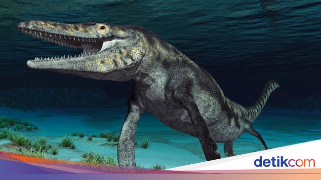 Complete Remains of Ancient Sea Monster Discovered in Japan