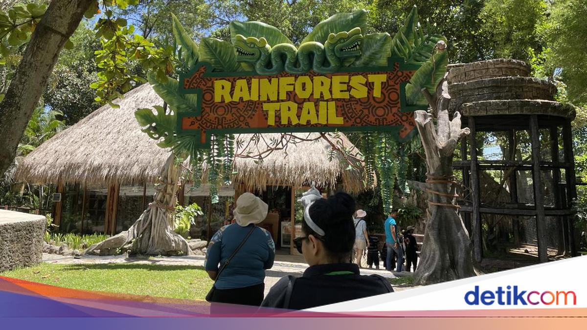 Liburan Seru di Taman Safari Bali