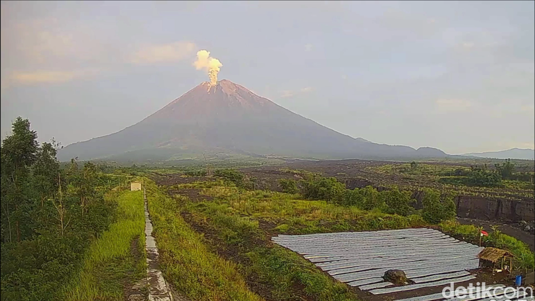 Gunung Semeru Erupsi, Semburkan Abu Vulkanik Setinggi 2 Km