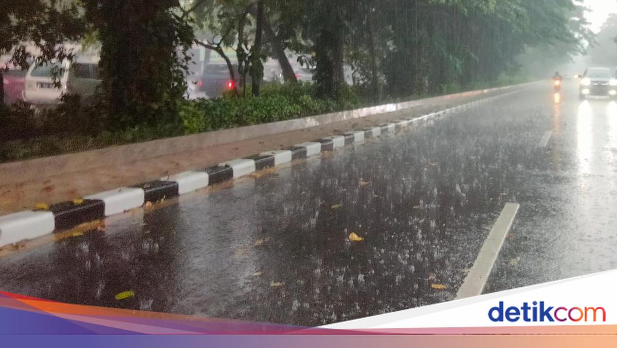 Tanaman yang Cocok Ditanam Saat Musim Hujan