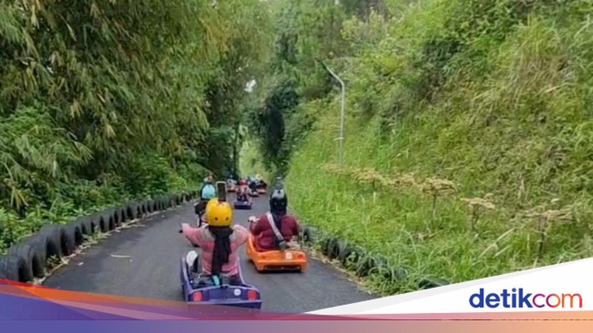 Sensasi Meluncur di Perbukitan Lembang dengan Luge Kart Sensasi Meluncur di Perbukitan Lembang dengan Luge Kart