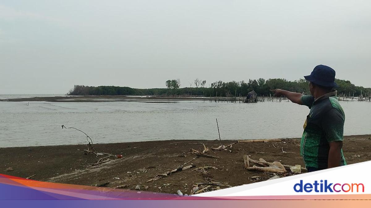 Pulau Arnavat Ditemukan di Demak Saat Mau Nanam Mangrove