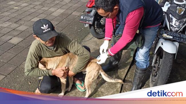 Dinas Pertanian Badung Anggarkan Rp 2,5 Miliar untuk Penanganan Rabies 2024