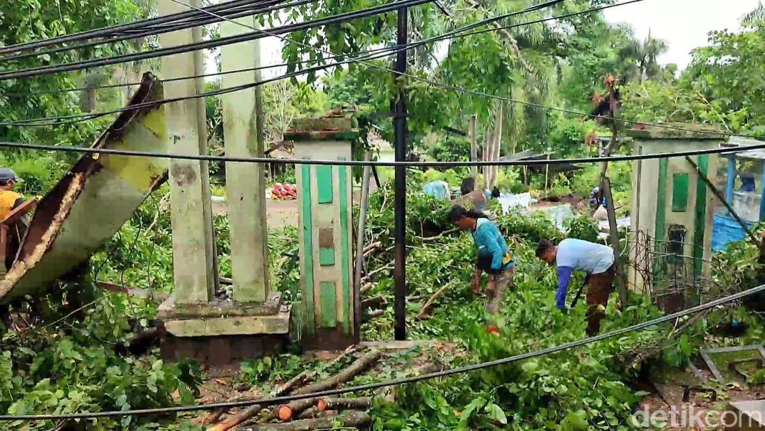 Diterjang Angin Kencang, Pohon Raksasa Di Palembang Tumbang