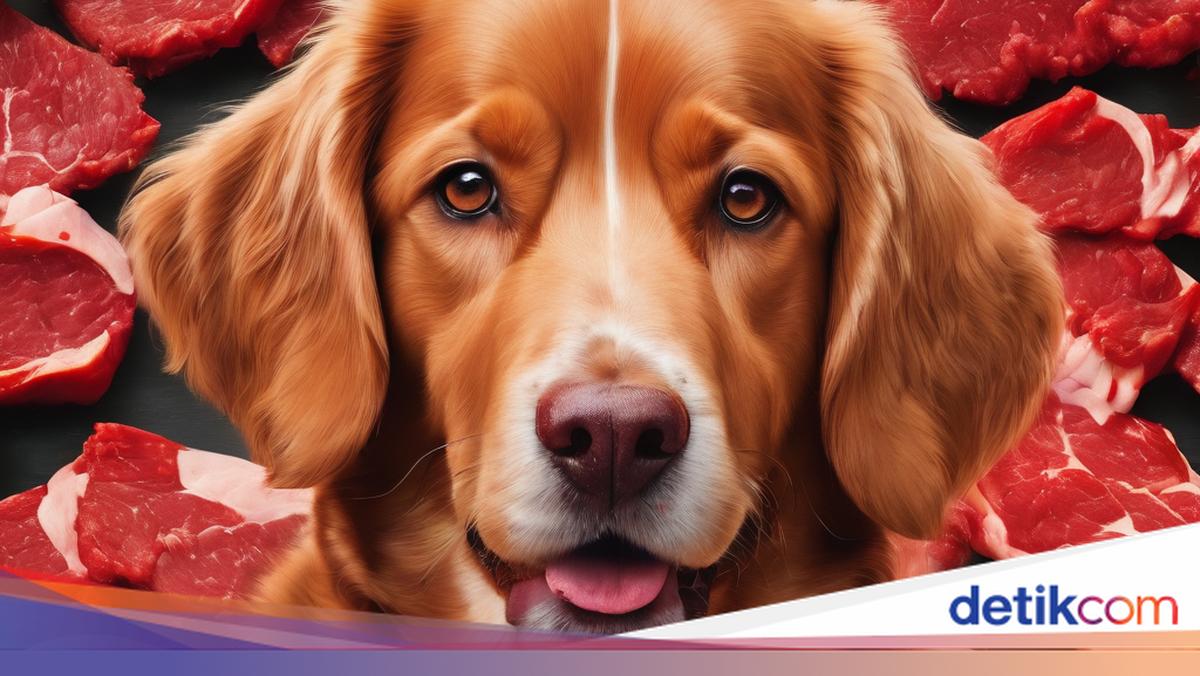 Viral Video Anjing Dikuliti Hidup-hidup, Polisi dan Pecinta Hewan Buka ...