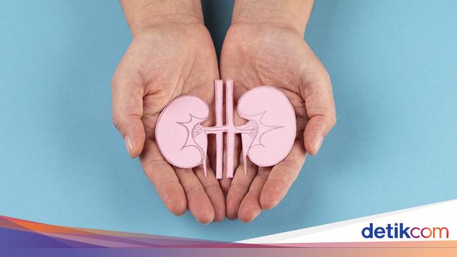 Waspadai Tanda Ginjal Rusak yang Bisa Muncul di Pagi Hari