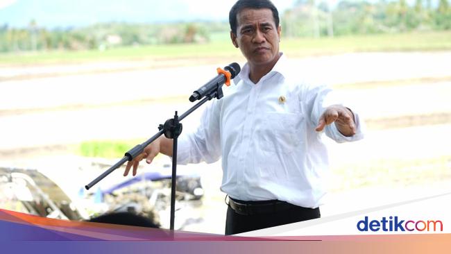 Ratusan Ribu Hektare Rawa Mau \'Disulap\' Jadi Sawah buat Lumbung Pangan
